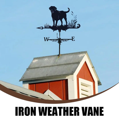 S451e1a21ca6c4e0d846b66e6d2e3271bG