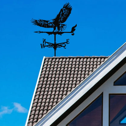 S62c47bfe6b594f369b1e4d43375c49far